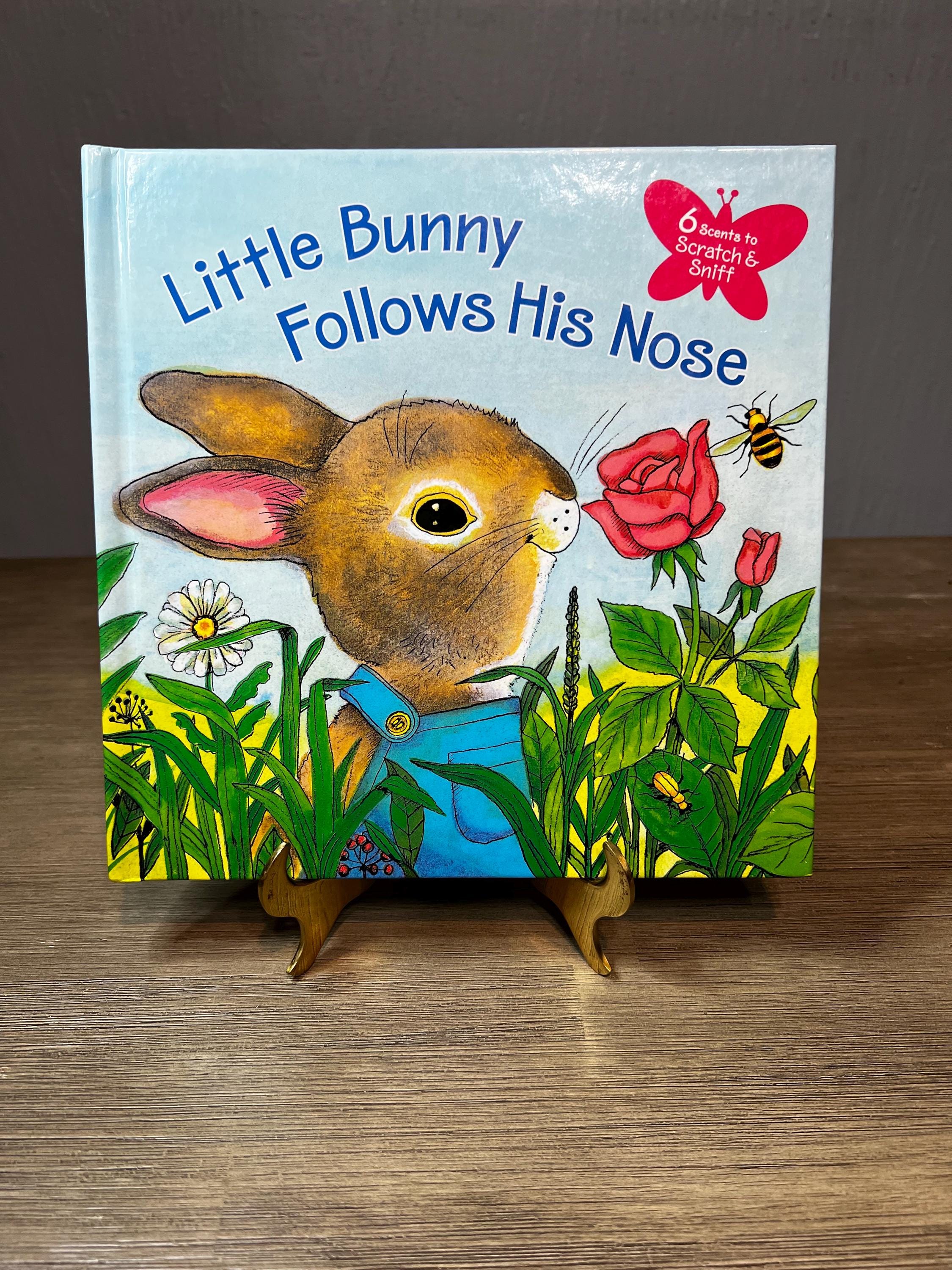 洋書 Curious e and the Bunny 洋書 Curious e and the Bunny Jorge el curioso y el conejito