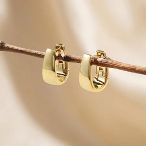 May include: A pair of gold hoop earrings. The earrings have a rectangular shape with rounded edges and a hinged closure. The earrings are displayed on a thin, brown twig against a soft, neutral background.