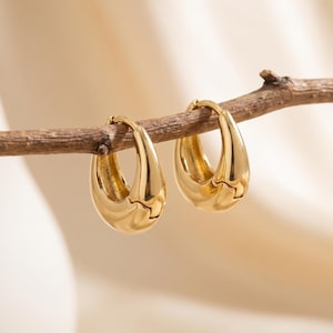 May include: A pair of polished gold hoop earrings with a thick, teardrop-shaped profile. The earrings feature a smooth, reflective surface and a hinged closure mechanism, displayed hanging from a thin, textured brown wooden twig.
