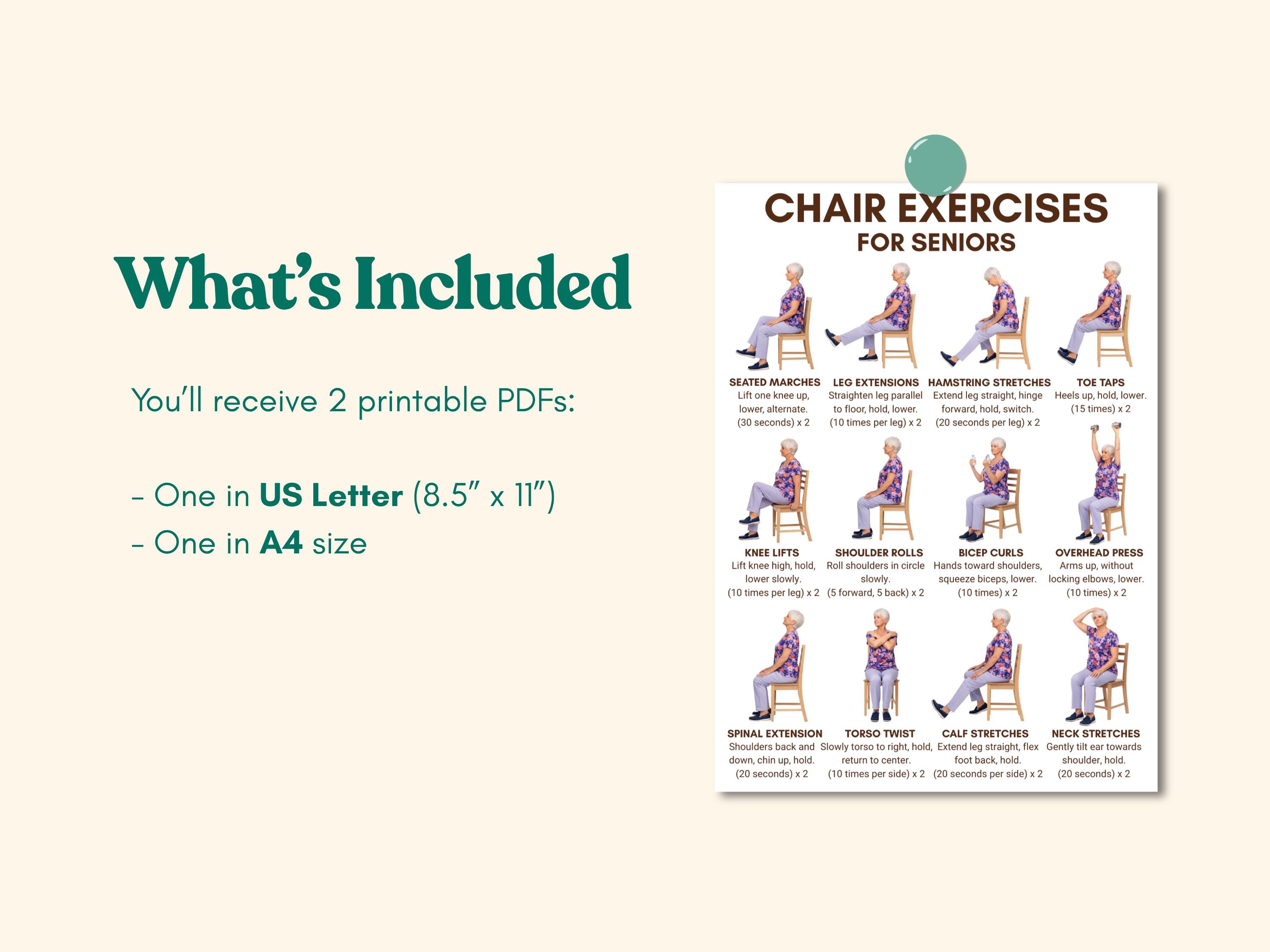 Chair & Seated Exercises: Gentle Workout PDF | Low Impact Fitness for