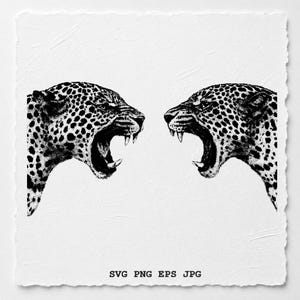 Peut inclure: Une illustration en noir et blanc de deux léopards grognants se faisant face, avec des taches détaillées et des gueules ouvertes montrant les dents. Le texte SVG PNG EPS JPG est imprimé en bas du papier carré aux bords effilochés.