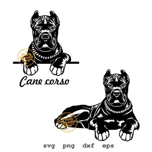 Könnte beinhalten: Eine schwarz-weiße grafische Illustration eines Cane Corso Hundes. Eine Version zeigt den Hund, der über eine horizontale Linie schaut, mit dem Text Cane corso darunter. Die zweite Version zeigt den Hund liegend. Der Text svg png dxf eps steht unten.