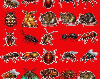 Adesivi realistici per insetti contro i parassiti - Pacchetto PNG e SVG