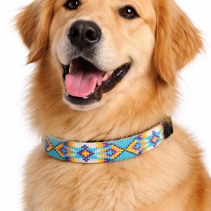May include: A golden retriever dog wearing a beaded collar featuring a geometric pattern in shades of turquoise, yellow, white, and purple. The collar has a black buckle and is worn around the neck of the dog, which has light brown fur.
