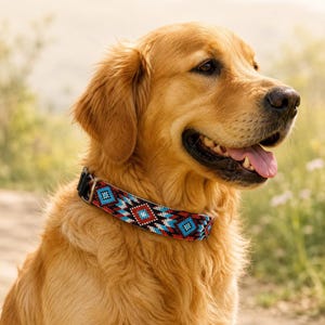 Pode incluir: Um golden retriever usa uma coleira de cachorro com um padrão geométrico de contas vermelhas, brancas, pretas e azuis. A coleira possui uma fivela de plástico preta e um anel em D de metal, exibindo um design detalhado e complexo.