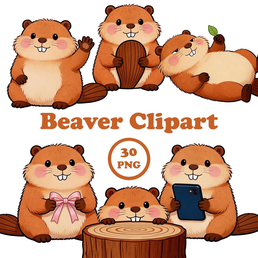 Beaver Bundle | 30 PNG Cartoon Illustrations | Digital Download - Etsy