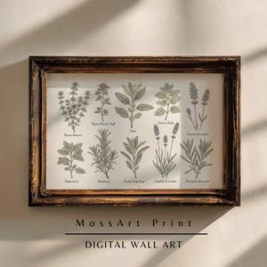 May include: A rectangular wall art print in a dark, distressed wooden frame featuring ten botanical illustrations of herbs including thyme, rosemary, sage, and lavender, each labeled with its name in black text on a light off-white background.