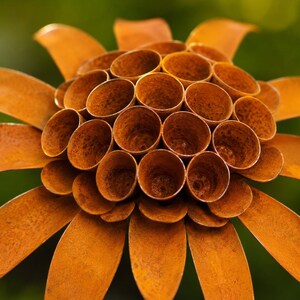 K&ouml;nnte beinhalten: Eine Metallblumenskulptur mit rostorangefarbener Oberfl&auml;che. Die Mitte besteht aus einer Ansammlung kleiner, hohler, zylindrischer R&ouml;hren in kreisf&ouml;rmiger Anordnung, umgeben von einem Kranz aus flachen, l&auml;nglichen, bl&uuml;tenblattf&ouml;rmigen Metallbl&auml;ttern.