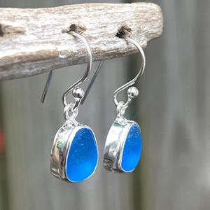 May include: A pair of silver-toned earrings with a vibrant blue, oval-shaped center. The blue glass is set in a silver bezel and hangs from a simple hook. The earrings are displayed on a wooden branch.