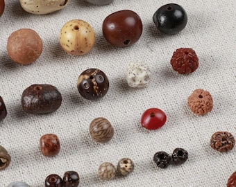 Perline di semi Bodhi naturali, semi Luna Sole, Stella-Luna, Loto, Linea d'argento, Melone, Asura, Ruyi, Bodhi a barile e fiore, perline distanziatrici sciolte fai da te