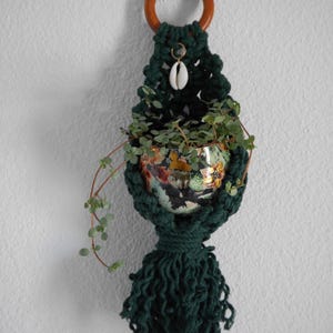 Peut inclure: Un porte-plante en macramé vert foncé avec un anneau en bois en haut. Le support contient un petit pot en céramique avec un motif floral et des plantes vertes. Un coquillage blanc est attaché au macramé.