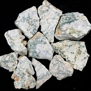 May include: A collection of raw tree agate stones featuring a white, translucent base with distinct, dark green, moss-like dendritic inclusions scattered across the irregular, jagged surfaces of each individual mineral specimen.