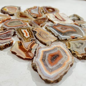 Puede incluir: Una colección de rodajas de ágata pulida con bandas concéntricas de color blanco, gris, naranja y marrón. Cada piedra muestra capas únicas translúcidas y opacas con bordes naturales e irregulares, exhibiendo variados patrones geométricos y texturas.