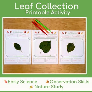 May include: Three white printable activity sheets titled Leaf Collection with handwritten text and attached green leaves. The sheets feature boxes for names, dates, and locations. Three pens in red, orange, and green are placed above the papers.