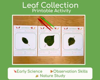 Leaf Collection: Preschool Nature Study, Fall Science Activity, Leaf Identification Printable