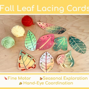 Könnte beinhalten: Herbstblatt-Schnürkarten-Set mit verschiedenen blattförmigen Karten mit vorgestanzten Löchern, drei Garnknäueln in Rot, Gelb und Grün sowie dem Text Fine Motor, Seasonal Exploration und Hand-Eye Coordination.