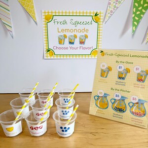 Dramatic Play Bundle Printable for Preschool & Kindergarten | Lemonade Stand, Ice Cream Shop and Popsicle Stand image 10