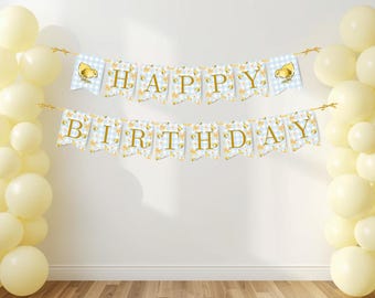 Sweet Little Chick Girl Birthday Banner Digital Canva Template