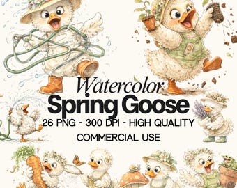 Raccolta di clipart di oche primaverili: 26 illustrazioni PNG con sfondo trasparente (uso commerciale)