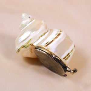 Pode incluir: Uma concha perolada com detalhes em castanho e verde, ao lado de um pequeno recipiente de metal em estilo antigo. O recipiente tem uma tampa articulada e um fecho decorativo. A concha tem uma forma espiral natural.