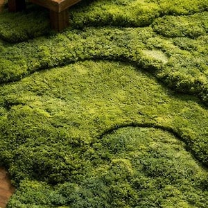 May include: A green, moss-like area rug with an organic, irregular shape. The rug has varying shades of green, creating a textured, three-dimensional appearance. It sits on a wooden floor, adding a natural element to the room.