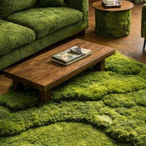 May include: A living room set featuring a green moss-like rug, sofa, armchair, and side table. A rectangular wooden coffee table sits atop the rug. The furniture has a textured, plush appearance, creating a unique and natural aesthetic.