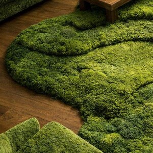 May include: A green, textured rug with an organic, flowing shape, resembling a patch of moss or grass. The rug is placed on a wooden floor, creating a contrast between the natural textures. The rug's design adds a unique, natural element to the room.