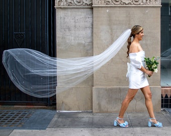 1 Tier Horsehair Ribbon Wedding Veil with Scattered Pearls, FIoor Length Bridal Veil, Light Ivory Chapel Veil with Comb, Modern Elopement