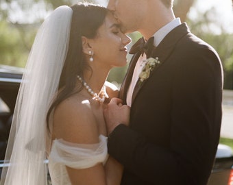 Cathedral Length Wedding Veil with Comb, Romantic Raw Edge Bridal Veil, Simple Veil Royal Veil Light Ivory Veil 1 Tier, 108 inches in width