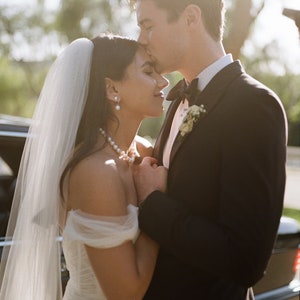 Cathedral Length Wedding Veil with Comb, Romantic Raw Edge Bridal Veil, Simple Veil Royal Veil Light Ivory Veil 1 Tier, 108 inches in width