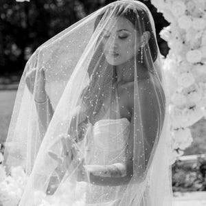 Clear Dew Drop Cascade Bridal Veil, Sofia Richie Beaded Chapel Length Ivory Wedding Veil, Sparkly Resin Veil with Blusher Hand-Painted Tulle
