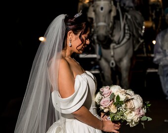 Cathedral Length Wedding Veil with Comb, Disney Princess Raw Edge Bridal Veil, Simple Veil Royal Veil Soft Ivory Veil 1 Tier, 108 inch width