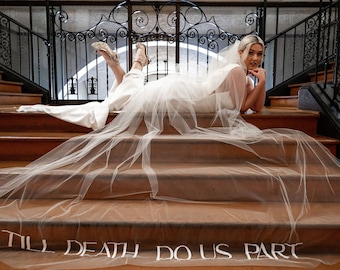 Til Death Do Us Part Cathedral Wedding Veil Hailey Bieber Embroidered Bridal Veil Light Ivory Tulle 120 Inch Royal Length Glam Modern Bride