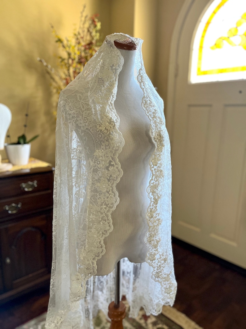 Embroidered Lace Mantilla Fingertip Wedding Veil 42 Inches, Romantic Bridal Veil, Pale Ivory Veil Rose Veil Soft Lace with Gold Comb, 1 Tier image 1