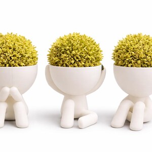 Minimalistischer Blumentopf im 3er-Set - Niedlicher 3D gedruckter Sukkulenten-Topf, moderner Schreibtisch-Blumentopf für das Zuhause oder Büro Dekor, Geschenk für Pflanzenliebhaber