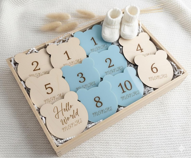 Teddy Bear Baby Milestone Discs: Monthly Wood Signs (SVG, DXF, PDF) - Etsy