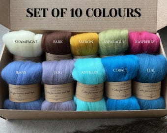 Merino Top roving - SET da 10 colori, lana di qualità per infeltrimento ad acqua e ad ago, 19 micron