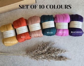 Filato di lana merino - Set da 10 colori, fibra per infeltrimento e filatura, 19 micron