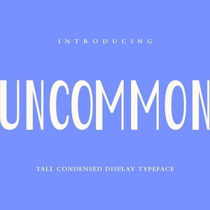 Modern Sans Font, Clean Branding Sans, Uncommon Logo Font, Minimalist UI Font, Canva Font, Website Font