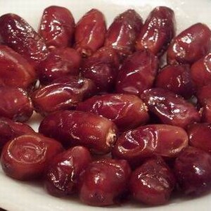 Medjool Date Palm Seedling - Etsy