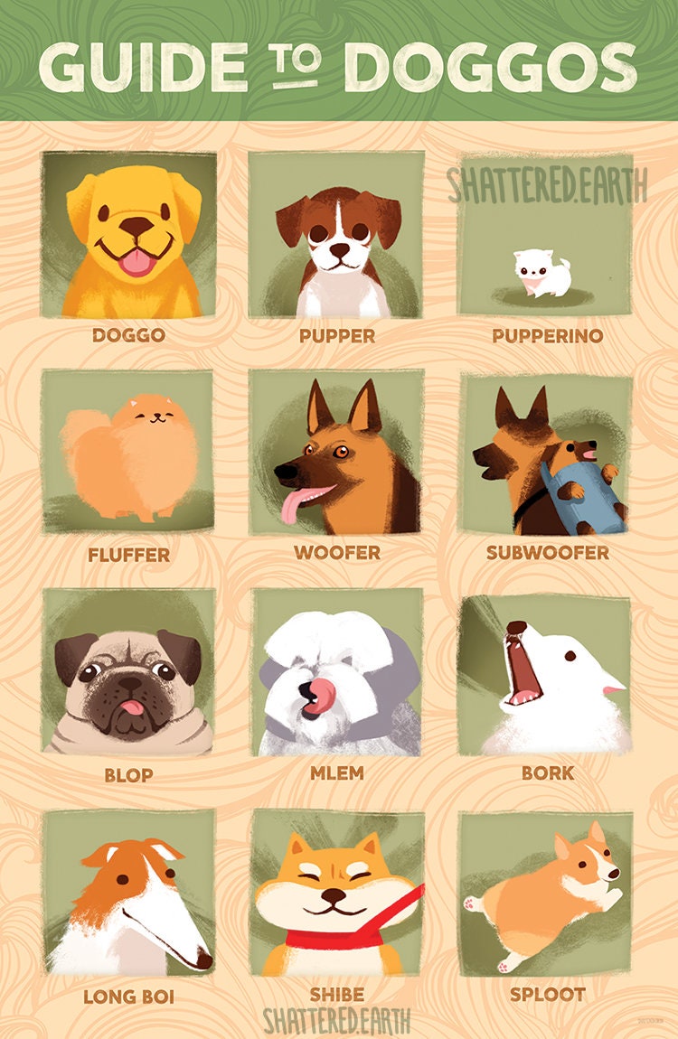 犬のガイド - 子犬、ふわふわの動物、ウーファー、シャイバ