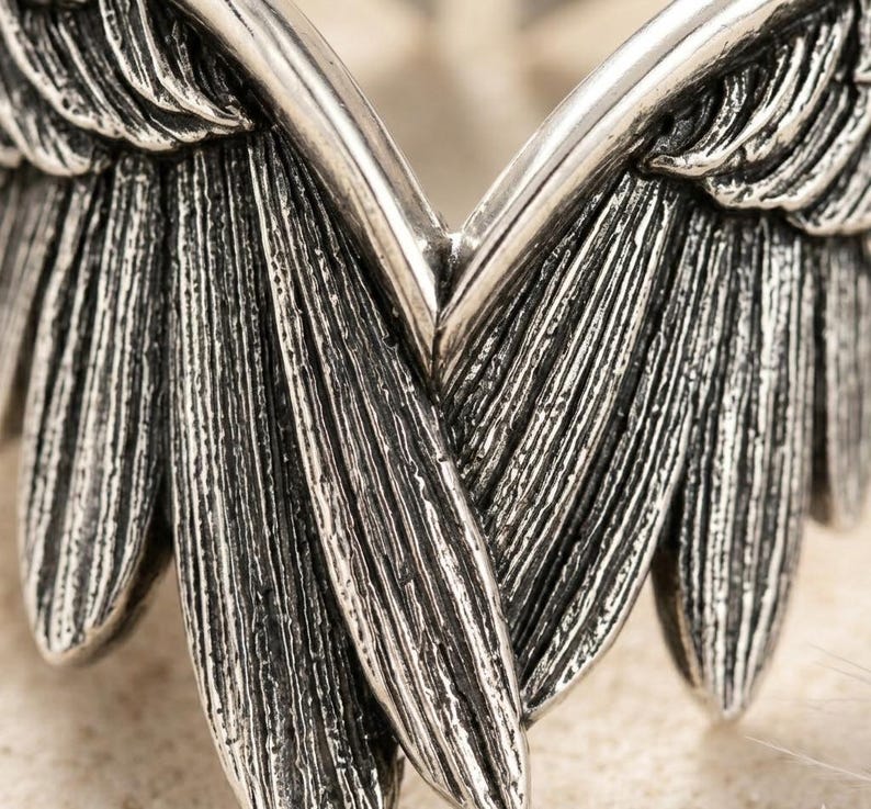 May include: Close-up of a silver-toned metal object shaped like angel wings. The wings have detailed feather textures and a slightly weathered appearance. The design is symmetrical, with each wing mirroring the other.
