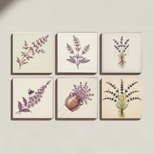 Op de afbeelding: Een set van zes vierkante wandtegels met botanische illustraties. De ontwerpen bevatten paarse lavendeltakjes, een salieplant, een hommel op een paarse bloem, een koperen pot gevuld met lavendel en twee verschillende lavendelboeketten.