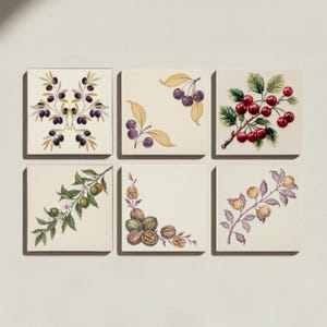 Könnte beinhalten: Ein Set aus sechs quadratischen Keramikfliesen, angeordnet in zwei Reihen. Jede Fliese zeigt eine andere botanische Illustration: Oliven, Kirschen, rote Beeren, Zitrusfrüchte mit Blüten, Walnüsse und kleine gelbe Früchte auf cremefarbenem Grund.