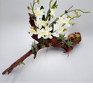Pode incluir: Arranjo floral decorativo com orquídeas brancas e suculentas sobre uma base de madeira natural. O arranjo inclui folhagem verde e pequenas plantas aéreas, criando uma estética natural e elegante. A base de madeira é de cor castanha rica.