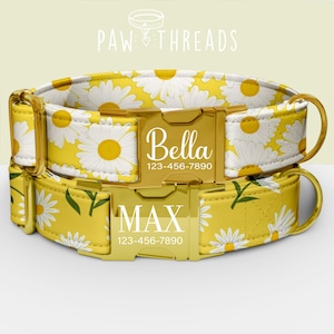 May include: Two personalized dog collars with daisy patterns. The collars are yellow with white daisies and green leaves. One collar is labeled "Bella" and the other "MAX", with phone numbers below. The hardware is gold-colored.