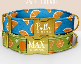 Collar para perro personalizado con estampado naranja, collar de frutas de verano personalizable, correa a juego disponible PAW-131