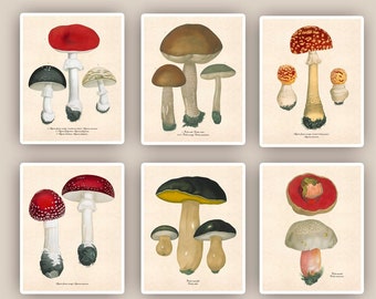 Mushroom Wall Art, French Kitchen Decor, Kitchen Wall Decor, Kitchen Gifts, Set of 6 Prints.
