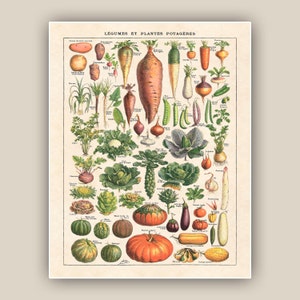 Vegetable Wall Print, French Kitchen Decor, Kitchen Gifts, Vegetable Poster