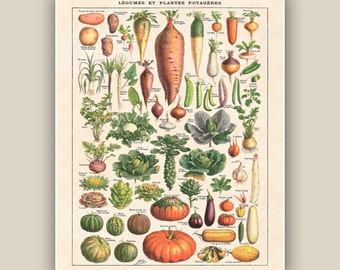 Vegetable Wall Print, French Kitchen Decor, Kitchen Gifts, Vegetable Poster